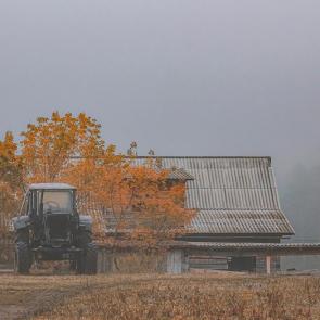 ������ ������ ���