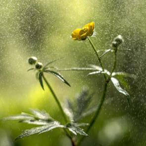 �������� �����