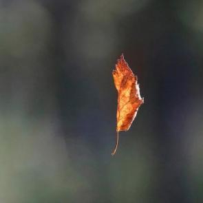 ����: �������� � ������...