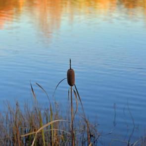 ���������� ��� ���������