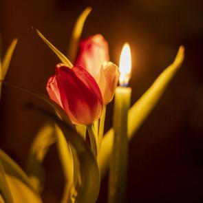 ����: �����