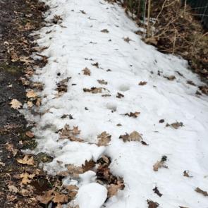 ����: ����� � ����.