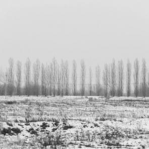 ����: ������