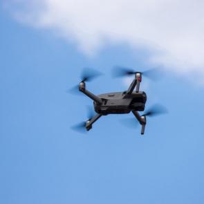 ����: ���������