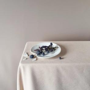 ����: ���������