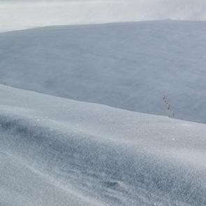 ���������� ��� ���������