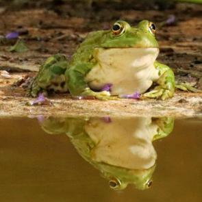 ����������