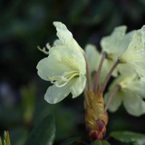 ����: ����������� ����������