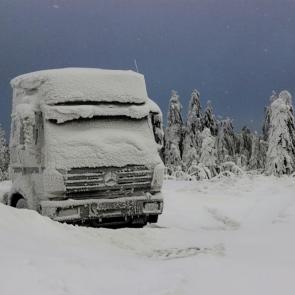 ������ ������ ���