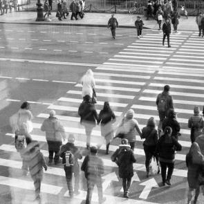 ���� ��������: ��������