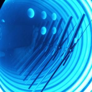 ����: ������� �������