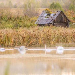 ���� ��������: ����� ������ �� �����