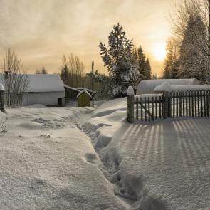 ����: ������� ��������, ����������� �������...