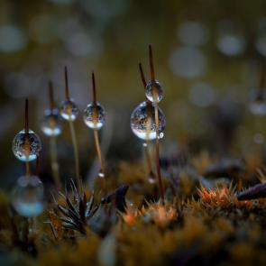 ����: �������� ����...