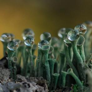 ����: �������� � ����������...