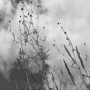 ����: ��������� - � ����