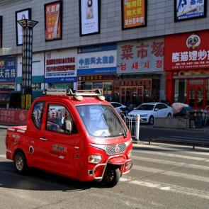 ����: ���������