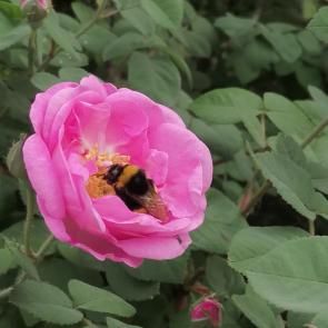 ����: ����� � ��������