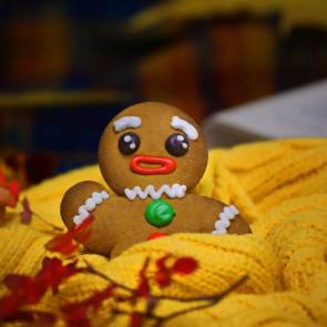 ����: �������� �����. 