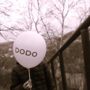 ����: ��� ������ 