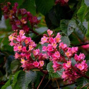 ����: �������� ������