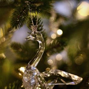 ����: ������� ������