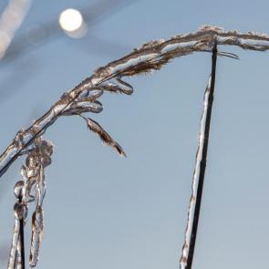 ����: �����