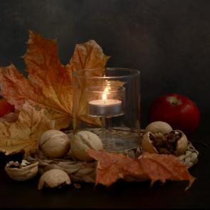 ����: ������� ����������