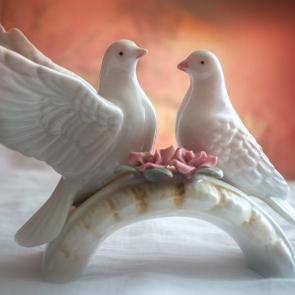 ����: ������ � ��������