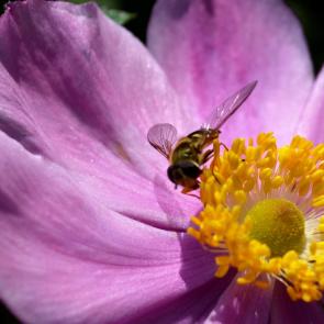 ����: �������!