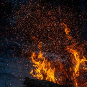 ����: �����