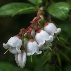 ����: �������� ��������...