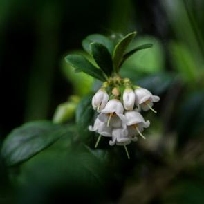 ����: �������� ��������...