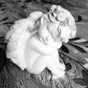 ����: �������� �����