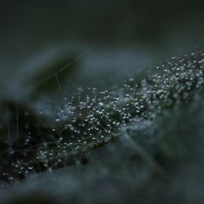 ����: �������� ���� �� ��������� ��������...