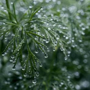 ����: ����� � ��������� �������� ����...