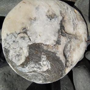 ���������� ��� ���������