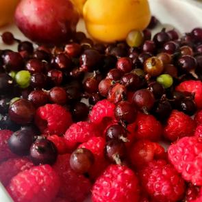 � ���� ���-����������