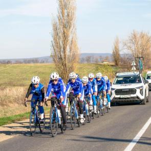 ����: �������������