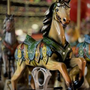 ����: �������