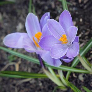 ���� ��������: �����! �� ���� ���������� ������...