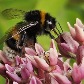 ����: �������� �����