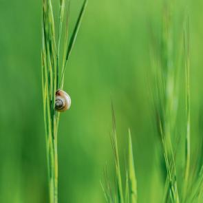 ���������� ��� ���������