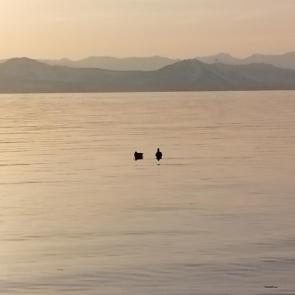 ���������� ��� ���������