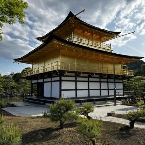 ����: ������� �����