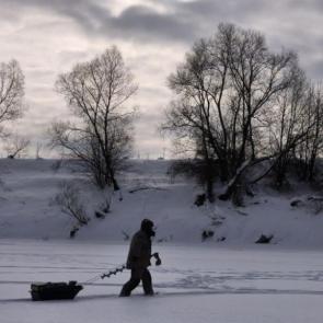 ���� ��������: �������