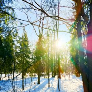 ���� ��������: �������� ����