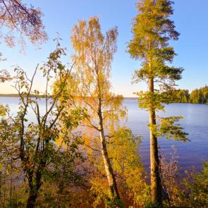 ���� ��������: ������ �����