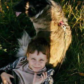 ����: ���������� ������