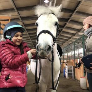 ����: ������